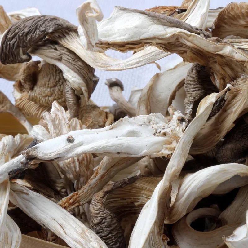 DETAN export dry oyster mushroom cultivation dried mushroom oyster mushroom price