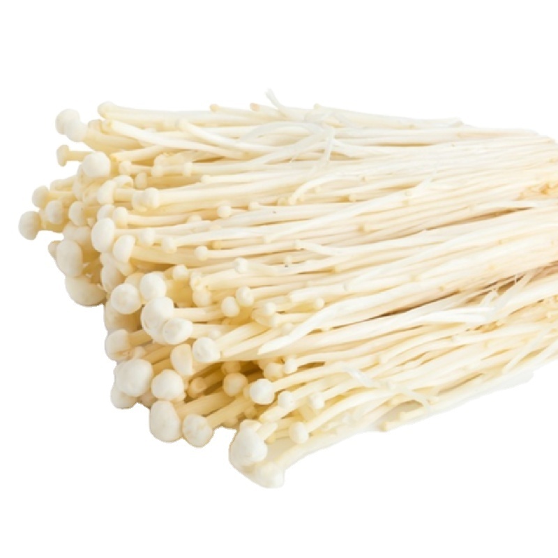 Detan Export High Quality Enoki Top grade Fresh Chinese Enoki Mushroom