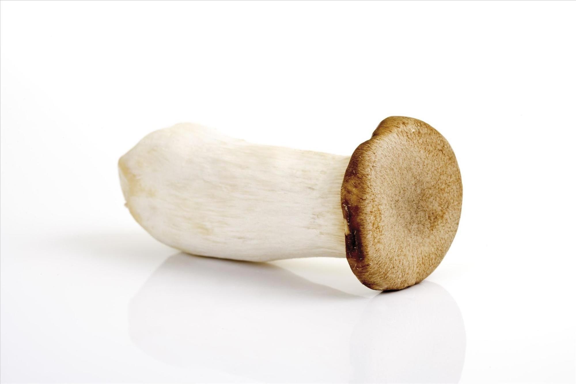 Detan Fresh King Oyster Mushroom For Export