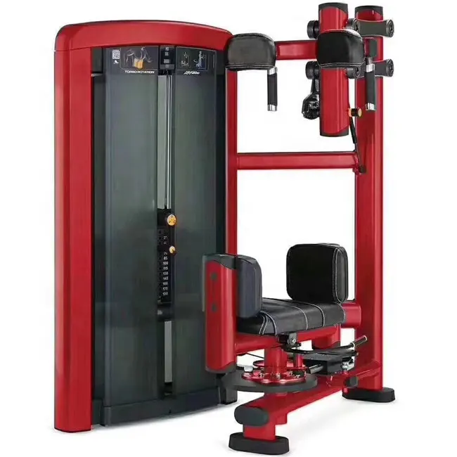 Gym Fitness Strength Training Exercise Body Torso Rotation Machine