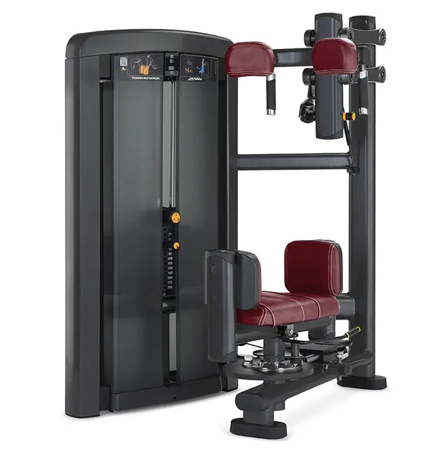 Gym Fitness Strength Training Exercise Body Torso Rotation Machine