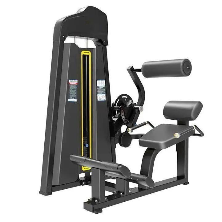 Commercial fitness machine strength machine abdominal crunch Back extension& Abdominal crunch machine