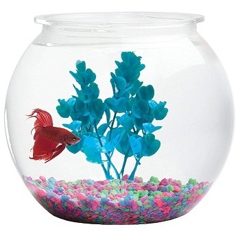 GLASS FISH BOWL AQUARIUM HOT SALE INDOOR ROUND AQUARIUM ROUND SHAPE UNIQUE STYLE DECORATIVE FISH POT