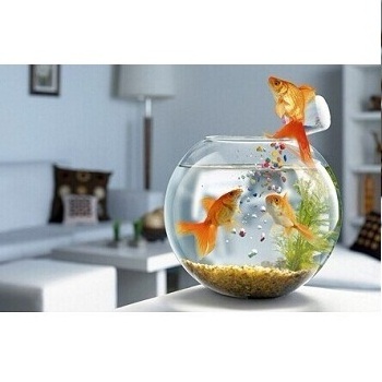 GLASS FISH BOWL AQUARIUM HOT SALE INDOOR ROUND AQUARIUM ROUND SHAPE UNIQUE STYLE DECORATIVE FISH POT