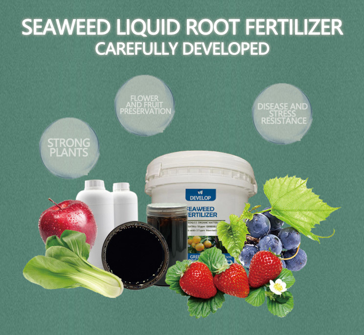 Liquid Organic Fertilizer plant growth regulator fertilizers seaweed root fertilizer