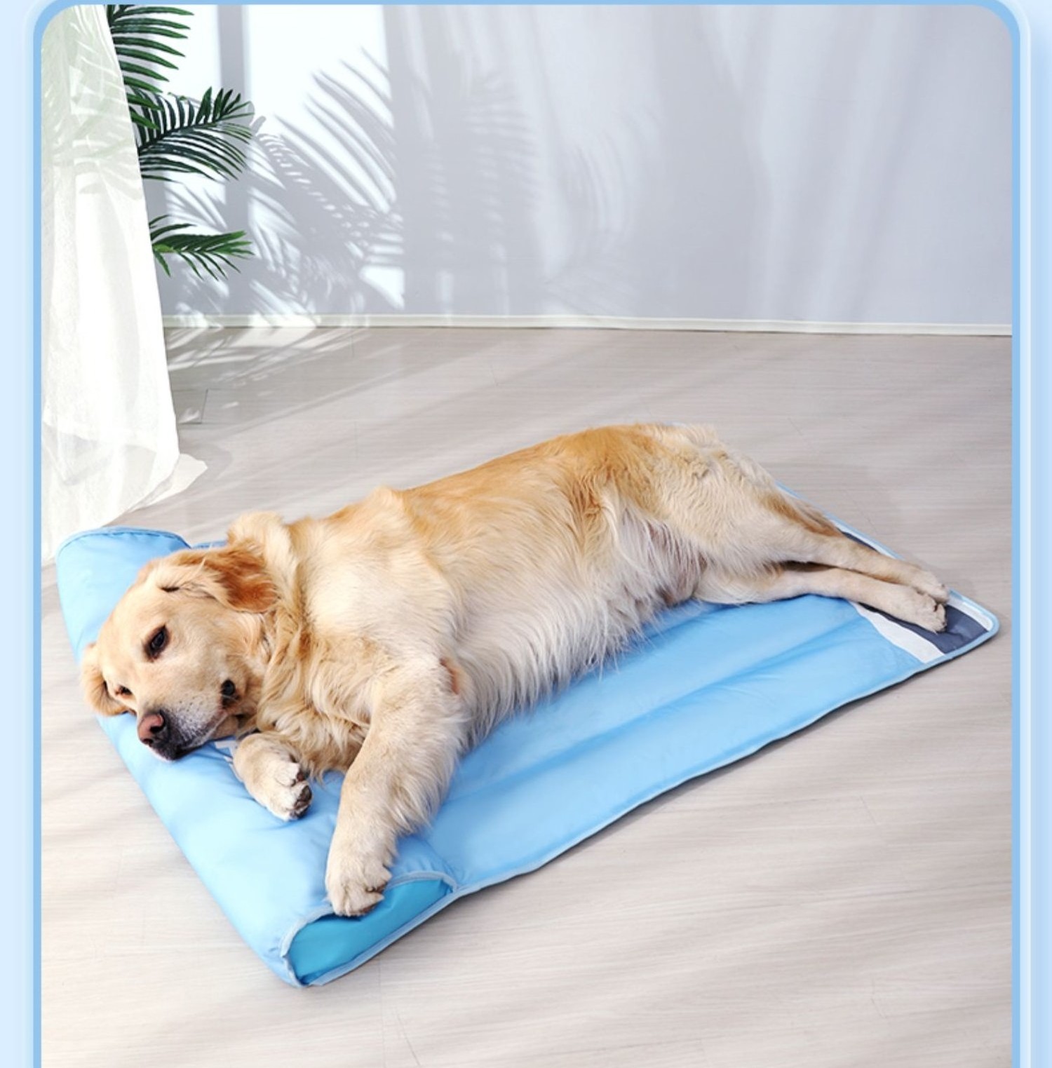 Summer Cold  Feeling Beds Small Cat Medium Luxury Dogs Cool Sleeping Soft Mat Pet Cooling Cushion Mat