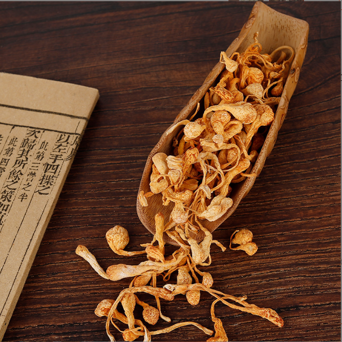 Wholesale  Cordyceps Militaris pure sporehead Golden Yellow Dried Spice Raw Herb in Whole Stick