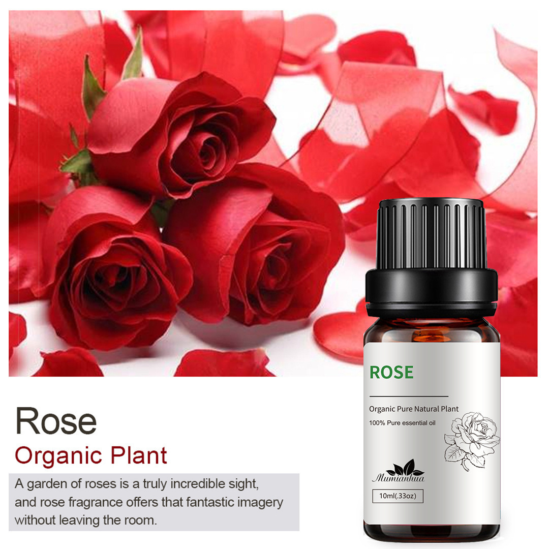 rose pure essential oil improve dryness and brighten the skin maintain skin mositure rose oil