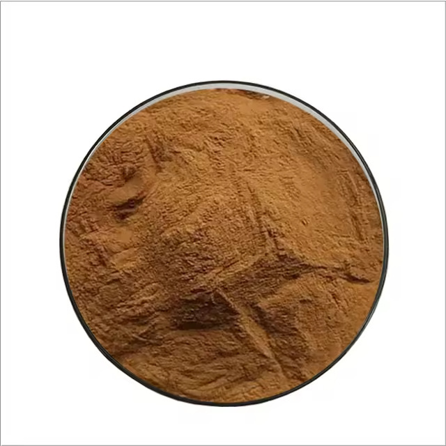 Pinus pinaster Bark extract maritime pine powder bulk price