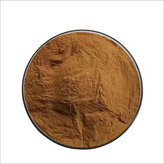 Pinus pinaster Bark extract maritime pine powder bulk price