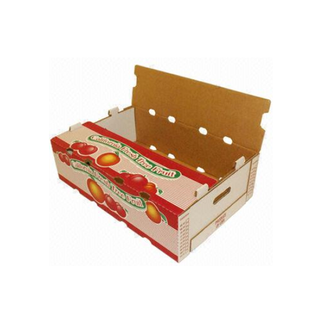 Custom Vegetable Fruit Tomato Packing Corrugated Carton Box