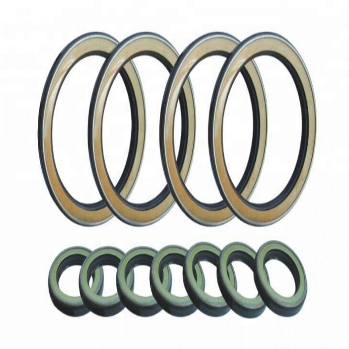 Mechanical Seals High Pressure Shaft Oil Seal TC TB TCV TCN