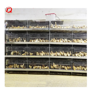 H type 4 tires Day old chicks baby breeding cage chicks brooder cage