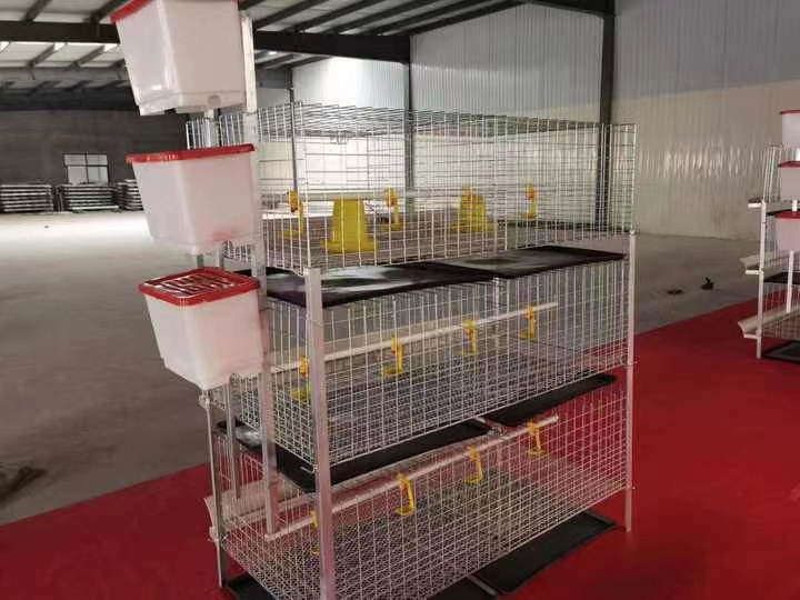 Broiler chicken cage animal cages chicken coop animal & poultry husbandry cages for sale