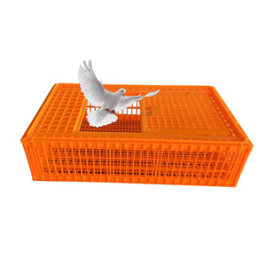 Many model for choose pigeon transport cage chicken crates plastic transport boxes