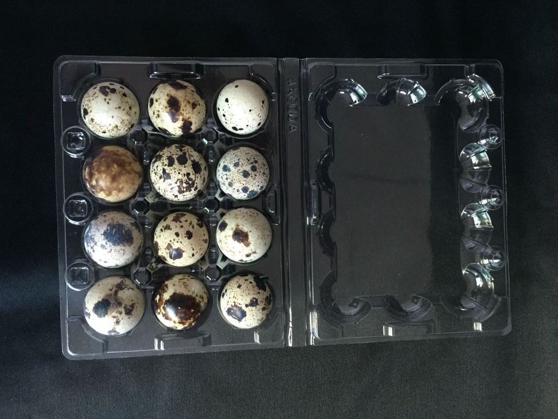 Factory wholesale supply farm use quail egg carton  plastic blister quail egg packing tray