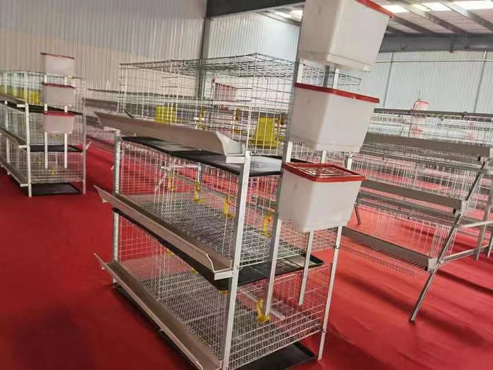 Broiler chicken cage animal cages chicken coop animal & poultry husbandry cages for sale