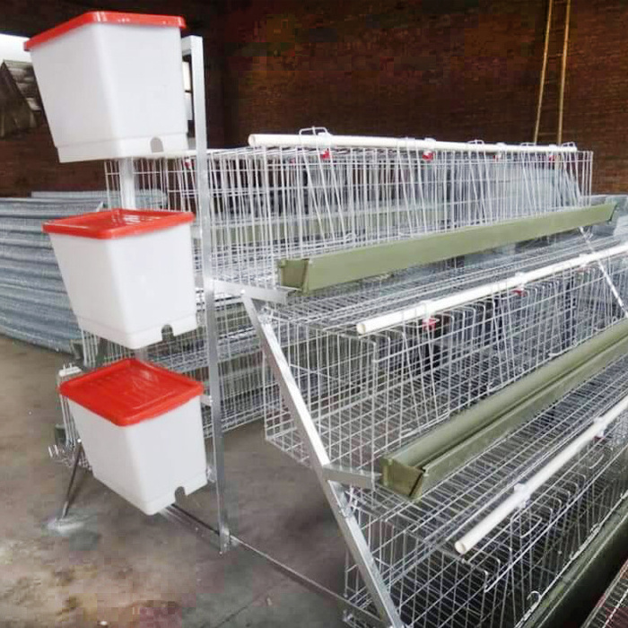 China layer chicken cage poultry cages for sale 96 hens