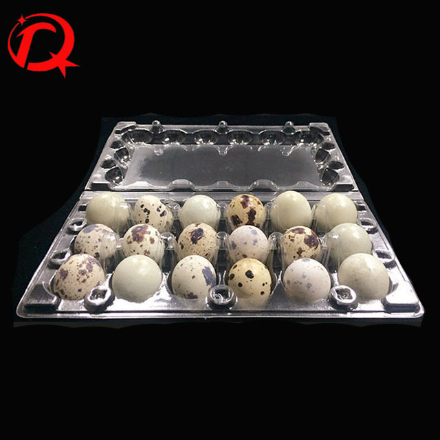 12 cells Plastic blister quail egg packing box carton packing quail egg carton