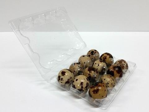 Plastic egg tray quail eggs tray egg cartons for sale