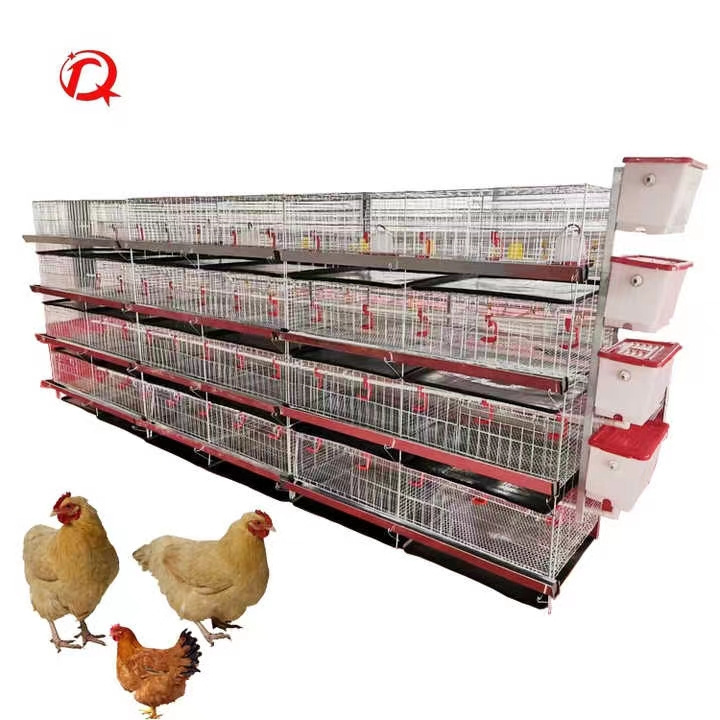 Broiler chicken cage animal cages chicken coop animal & poultry husbandry cages for sale