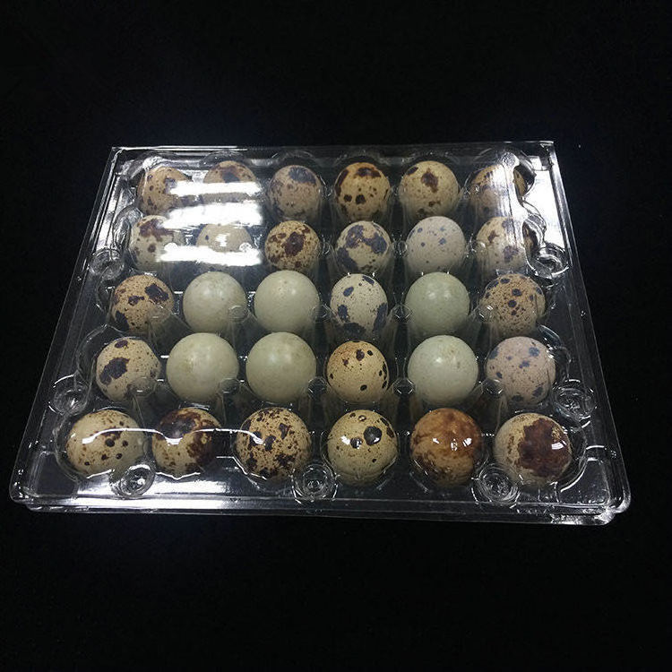 Factory wholesale supply farm use quail egg carton  plastic blister quail egg packing tray