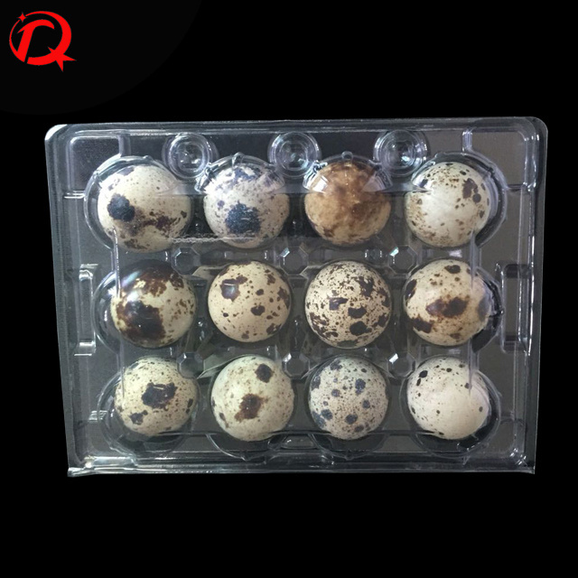 Plastic egg tray quail eggs tray egg cartons for sale