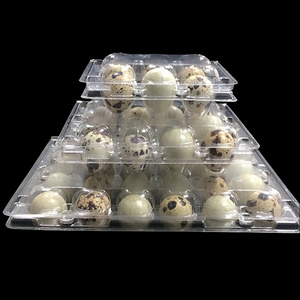 12 cells Plastic blister quail egg packing box carton packing quail egg carton