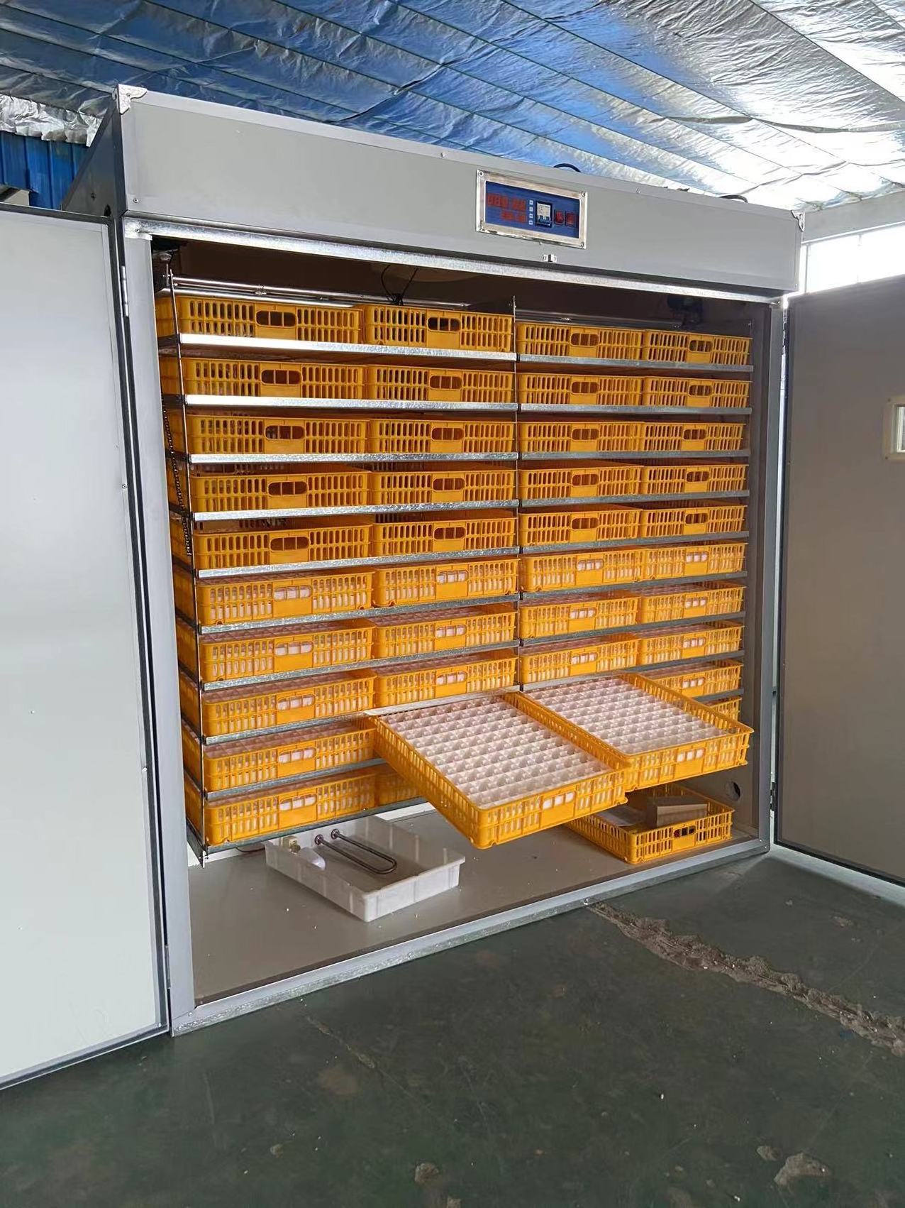 High Hatching Rate price incubator 5000 eggs chicken /automatic egg incubator for parrot egg