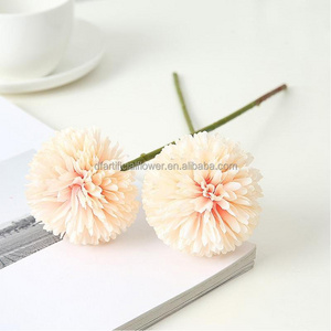 Fake Plants Orchid Latest White Roses Popular High Quality New Fashion Green Plastic New Arrivals Artificial Elephant Ear Plant