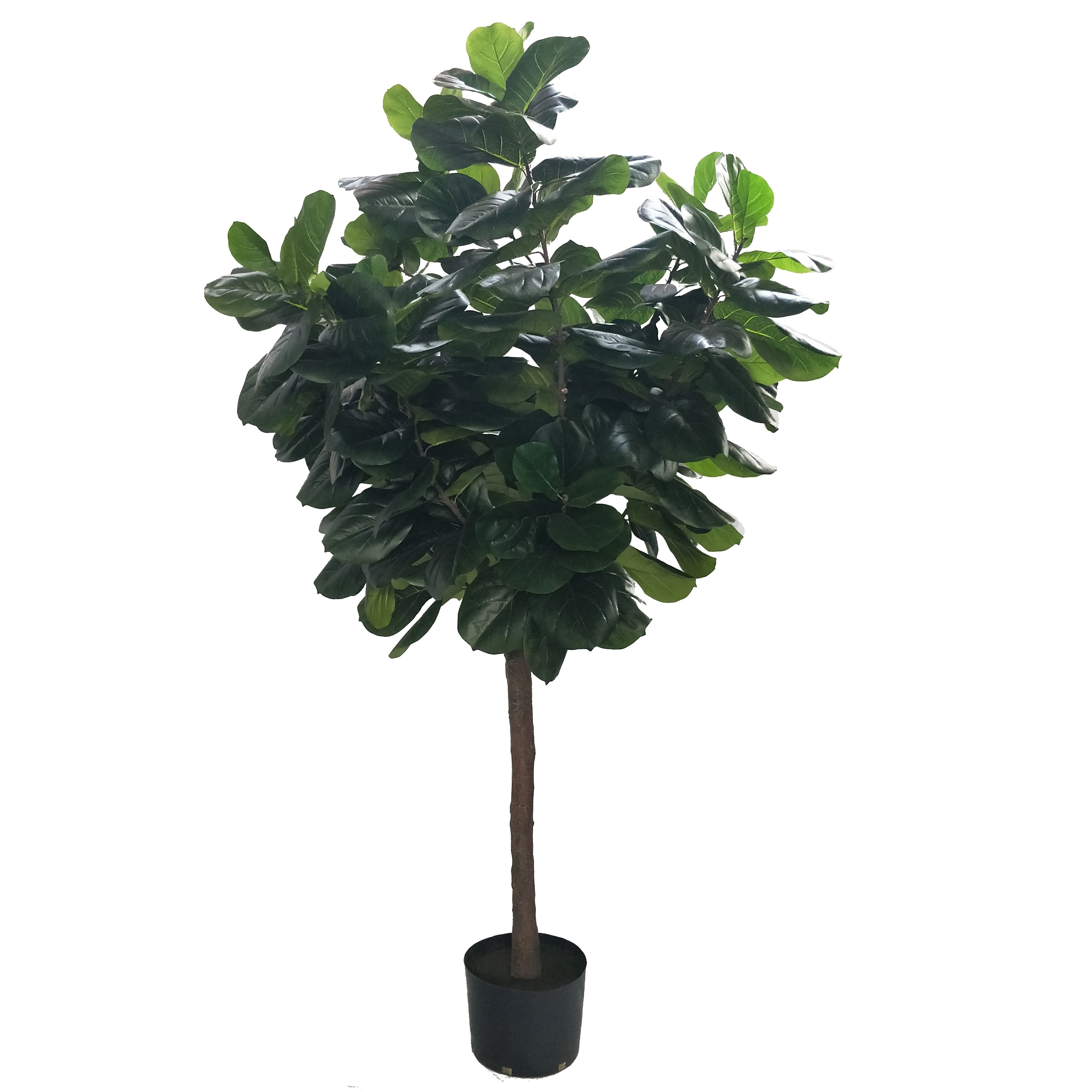 2.4m artificial tree ficus plant indoor or outdoor plant big potted plant bonsai artificial tree