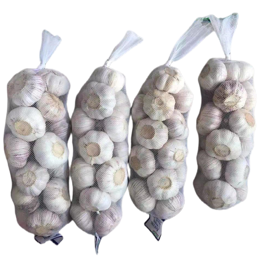 ZLM Brand China Shangdong 1 kg mesh bag normal white garlic Ali Ajo for bulk sale low price high quality