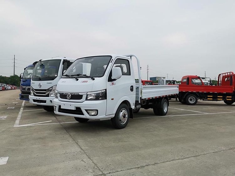 Russian certificate model 4x2 single cab 5MT light duty Q23-132E60 euro5 diesel transport small lorry