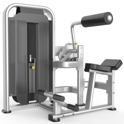 DFT fitness factory dual function sport gym equipment DFT-1695 Abdominal Crunch Back Extension machine