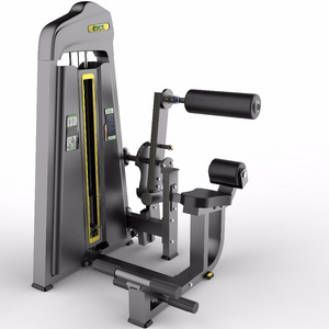 Dual function DFT-695 multi function gym equipment Abdominal crunch Back extension