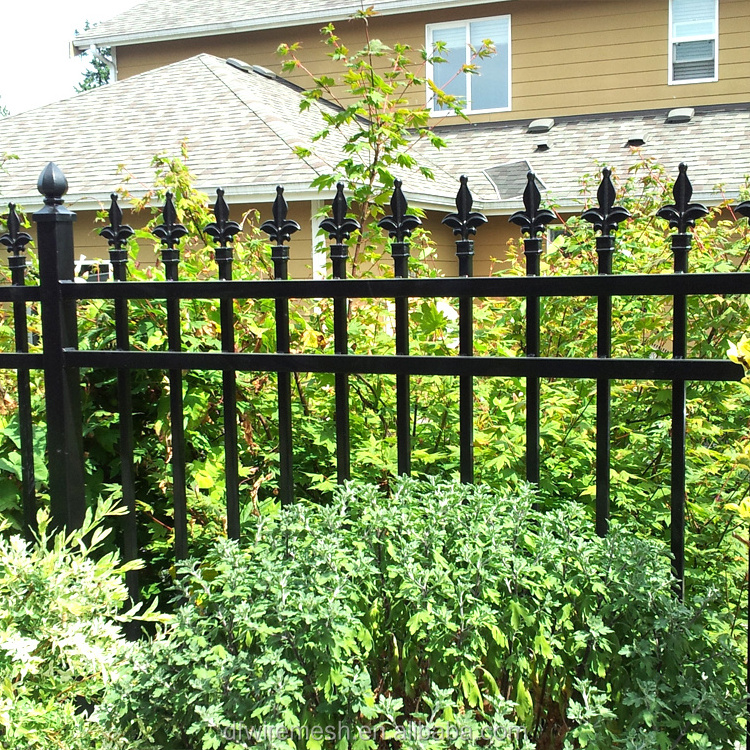 5 Foot Wrought Iron Fence and Gates