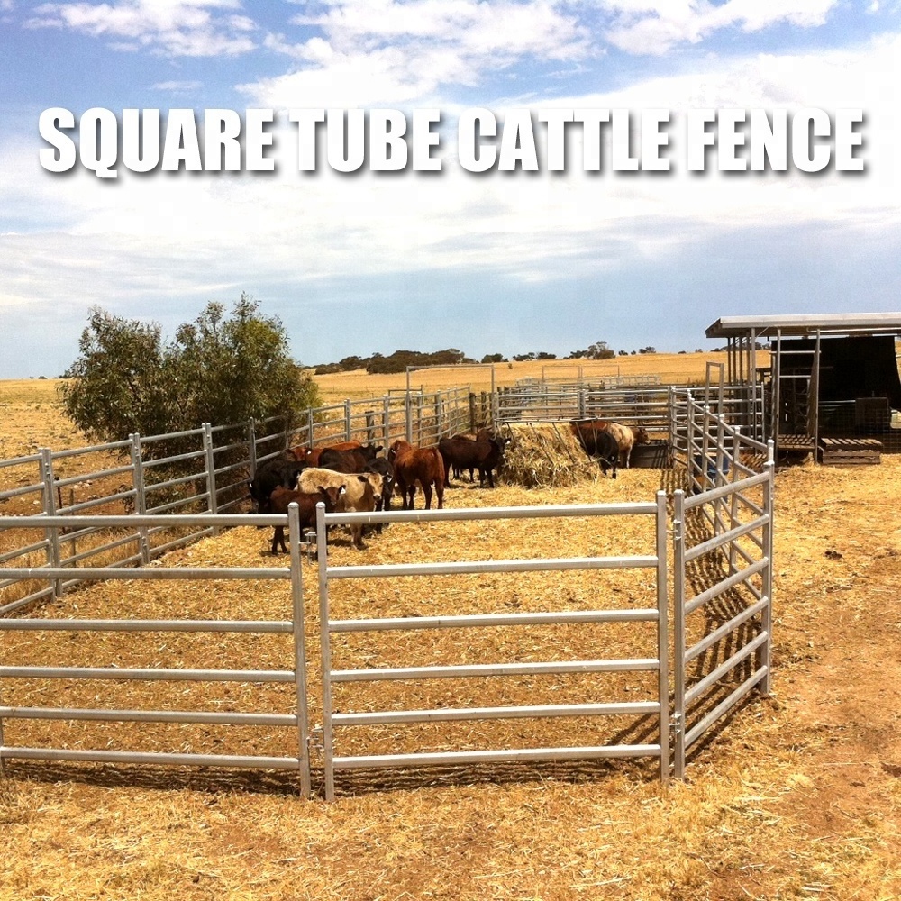 Cheap Various Size Popular Livestock Cattle Panels For Sale