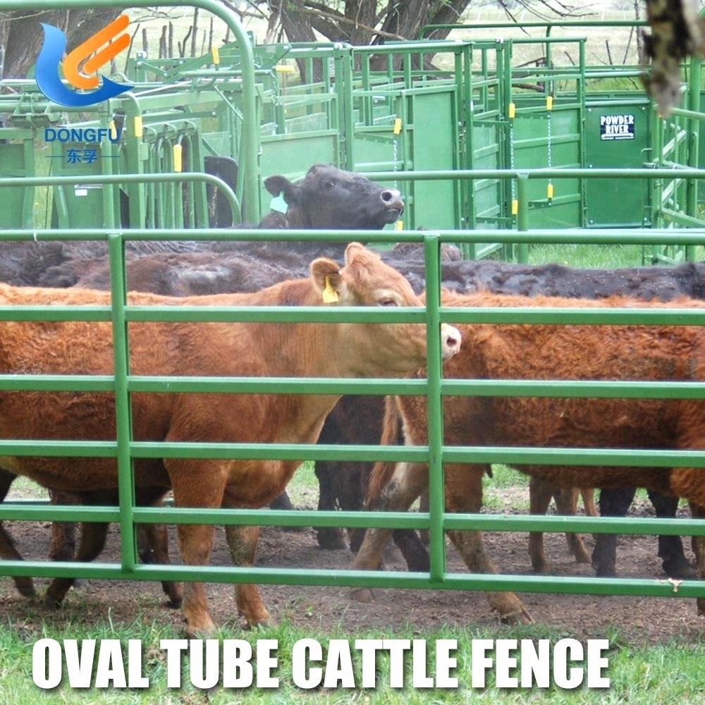 Cheap Various Size Popular Livestock Cattle Panels For Sale