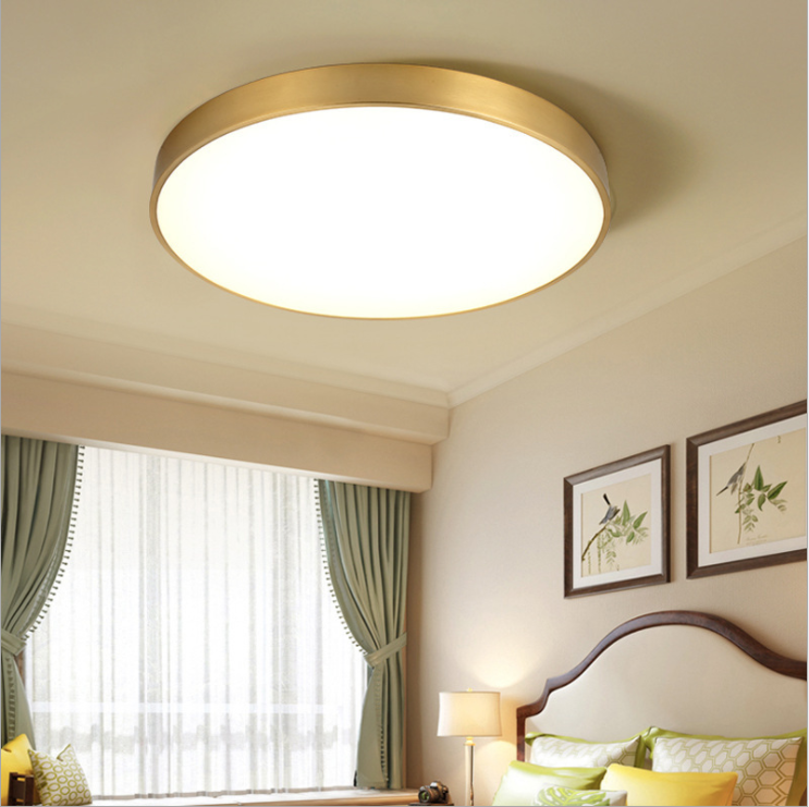 Hot Selling Adjustable Light Flush Mount Hallways Aisle Study Luxury  Led Ceiling Light