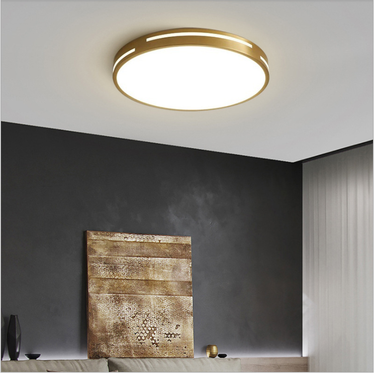 Hot Selling Adjustable Light Flush Mount Hallways Aisle Study Luxury  Led Ceiling Light