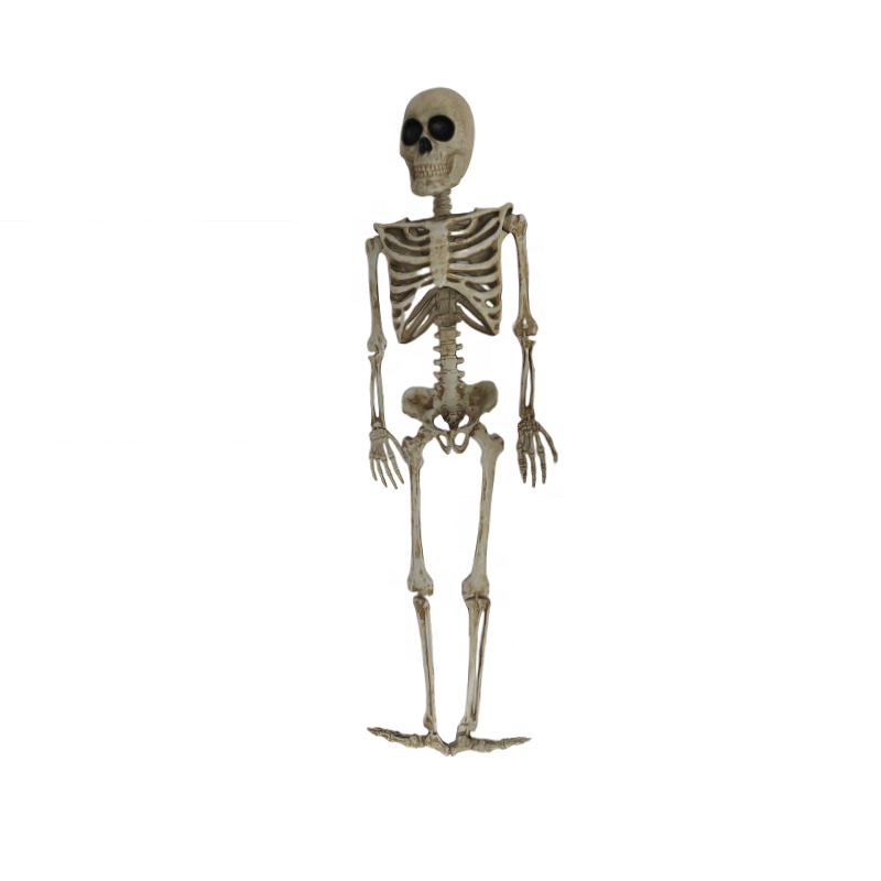 Large Skeletons Halloween Props Life Size Full Body Human Movable Joints High Quality Halloween Outdoor Decorations