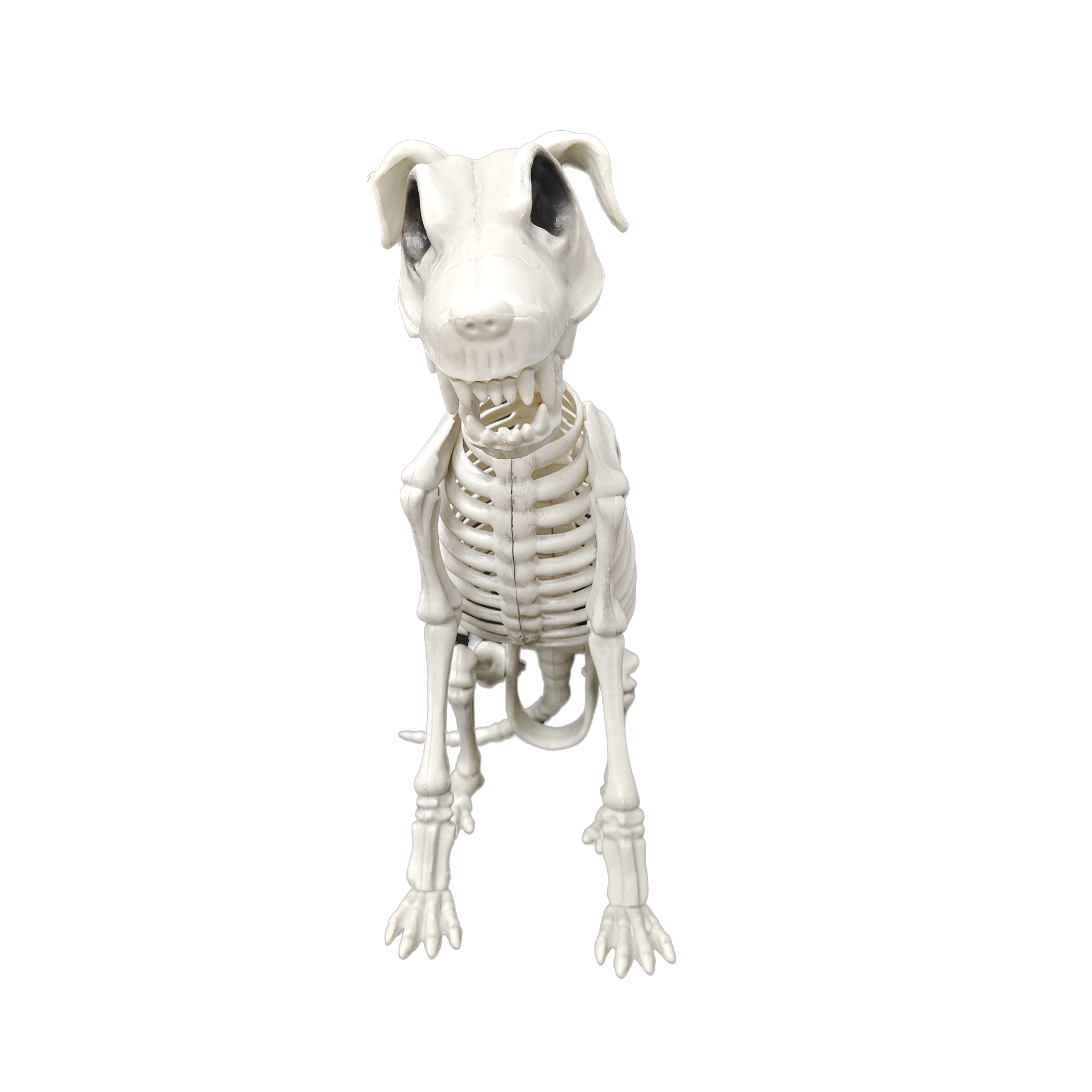 Novelty House Party Decoration Dog Skeleton Decor Halloween Party Plastic Craft Atmosphere Props