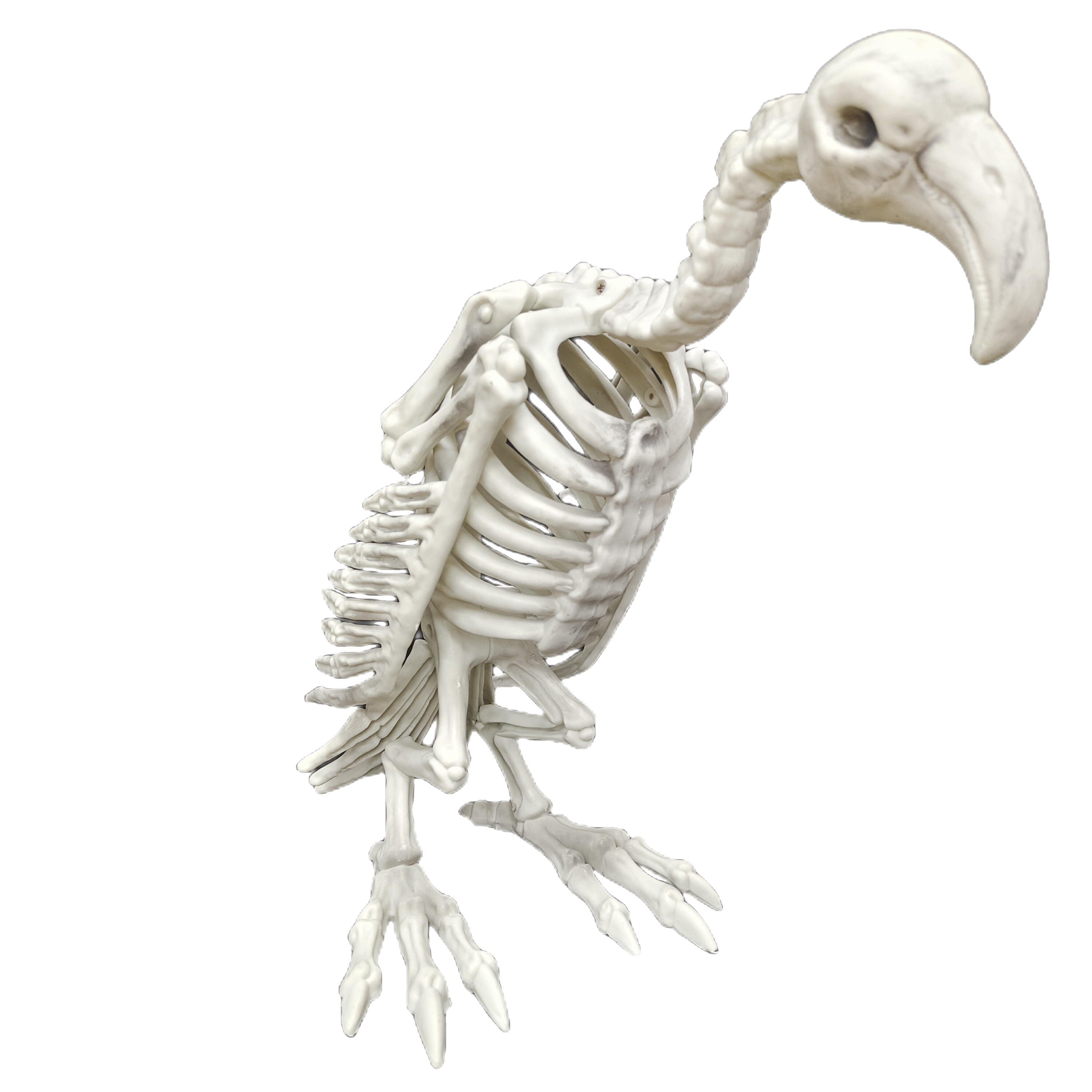 Vulture Skeleton Injection Molding Animal Skeleton Halloween Decoration Patio Decoration Holiday Party Tabletop Decoration