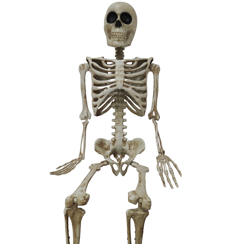 Large Skeletons Halloween Props Life Size Full Body Human Movable Joints High Quality Halloween Outdoor Decorations