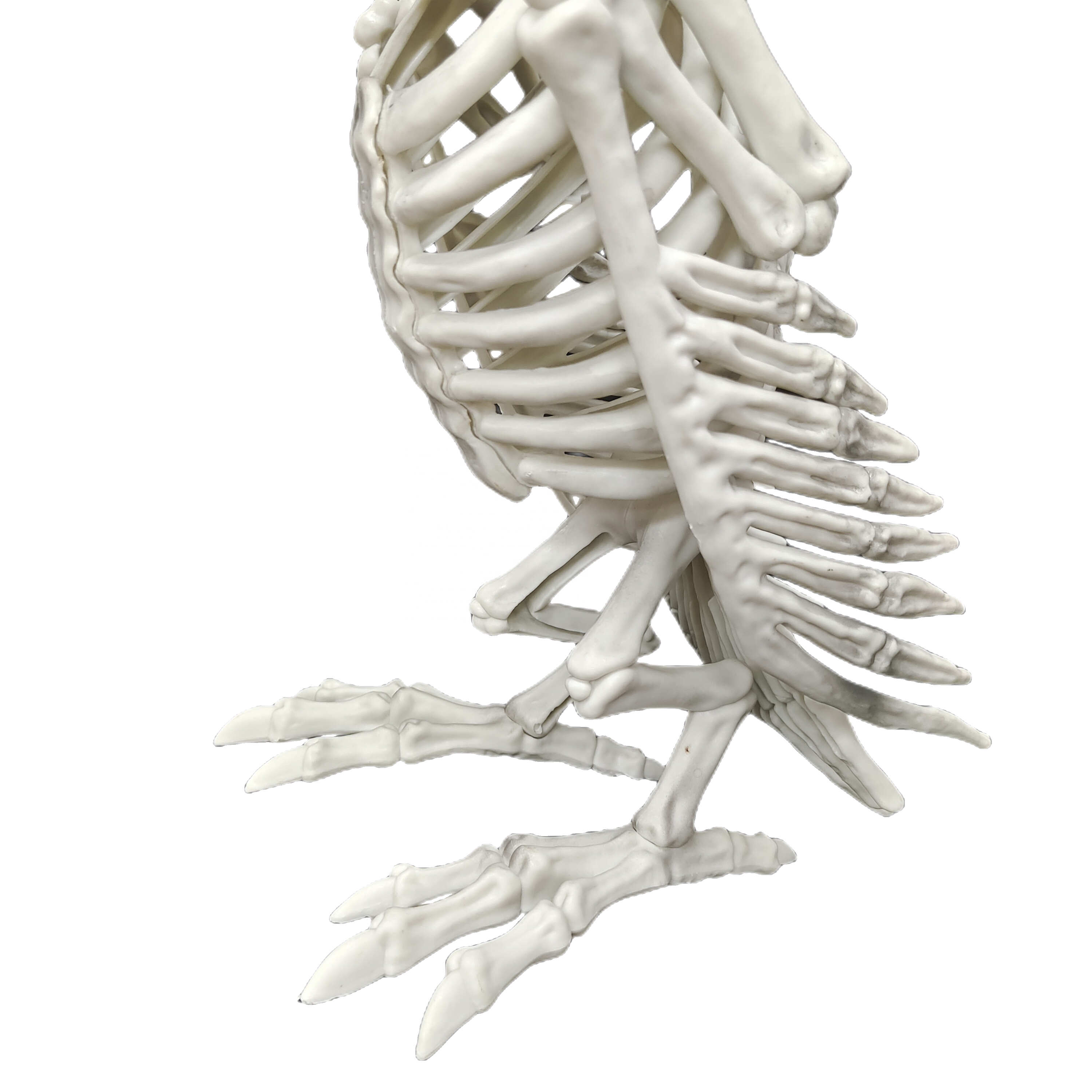 Vulture Skeleton Injection Molding Animal Skeleton Halloween Decoration Patio Decoration Holiday Party Tabletop Decoration