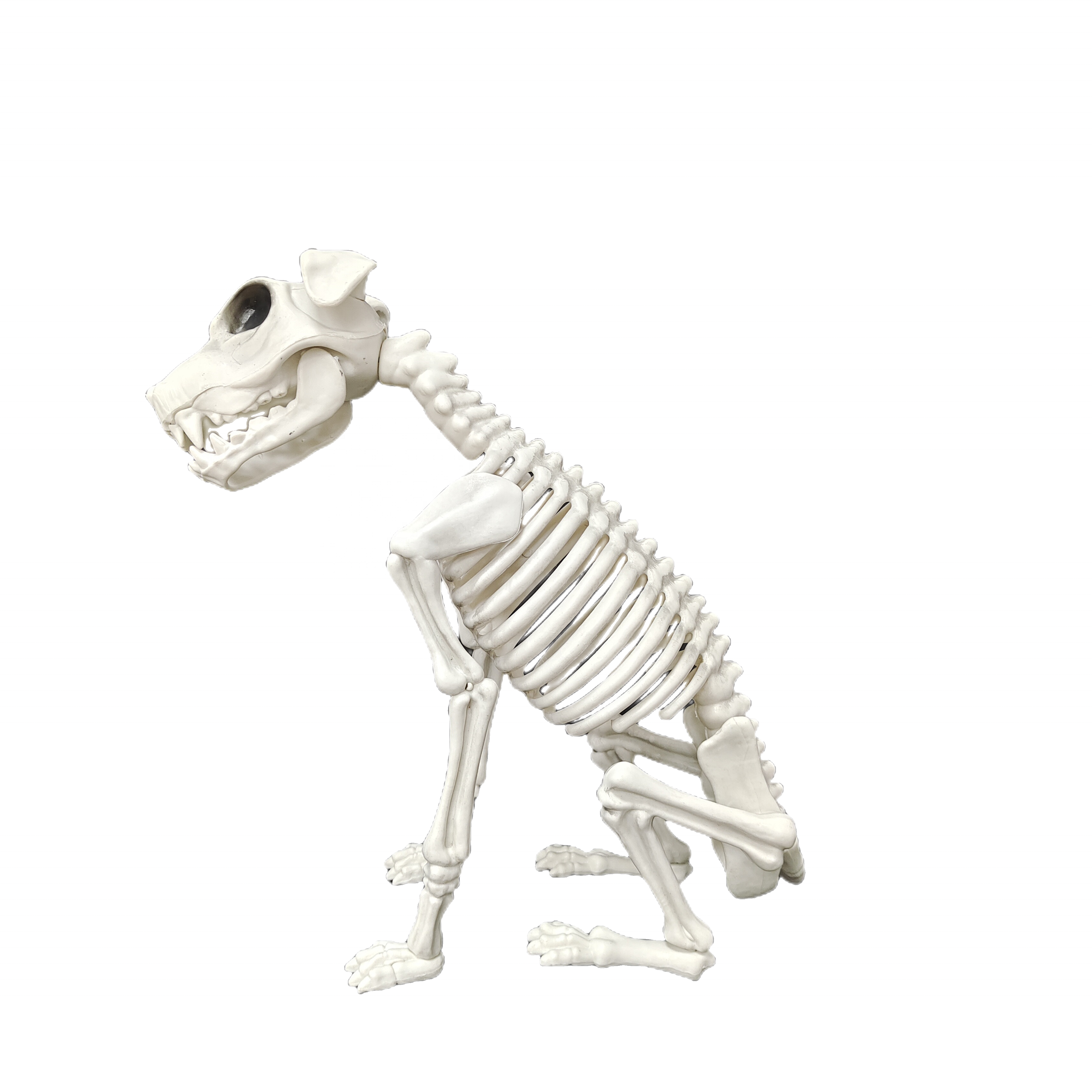 Novelty House Party Decoration Dog Skeleton Decor Halloween Party Plastic Craft Atmosphere Props