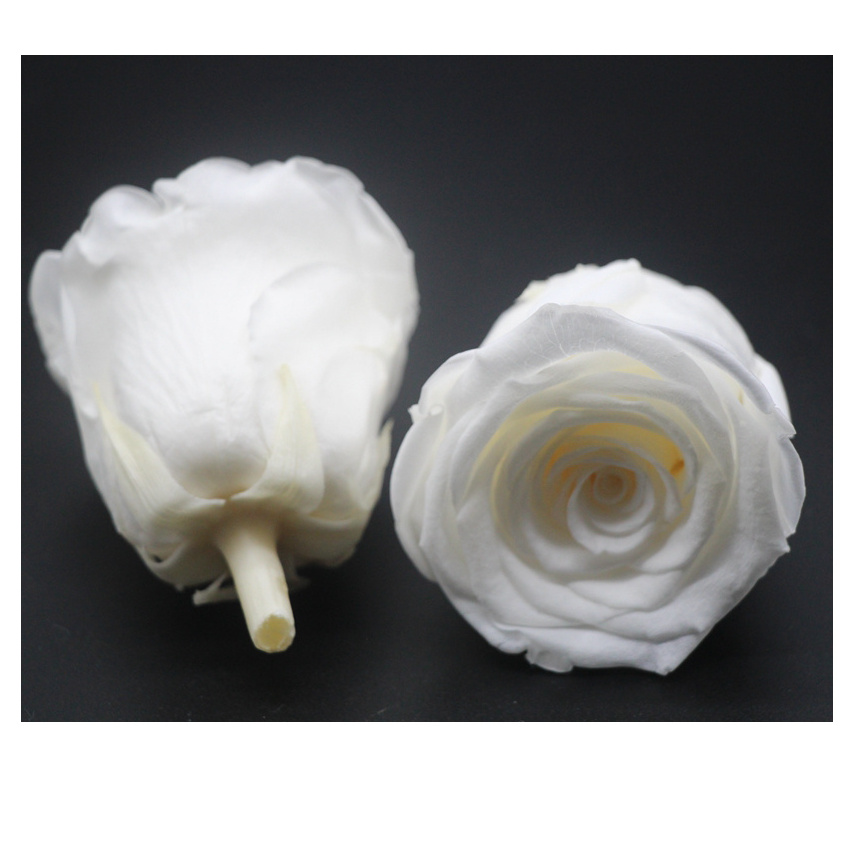 High Quality preserv rose preserv flower rosa eterna 5-6cm long lasting real rose for decor