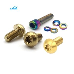 Customized Various Colors Bolt And Screw High Quality M8 M10 M12 Titanium Screws For Furniture