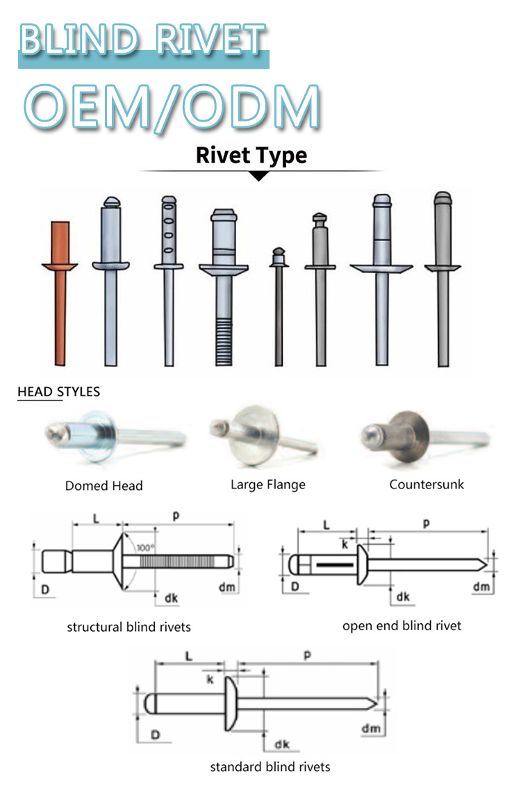 Blind Rivet Manufacturer DIN7337 Open type flat head 316 stainless steel aluminum Blind Rivet waterproof rivets