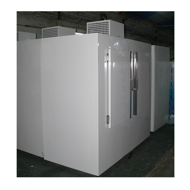 Big vertical bagged ice cube freezer ice merchandiser -12 degrees C with CE